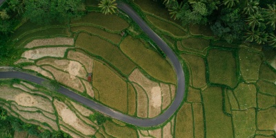 Birds eye photo of forest and crop. Credit Mikhail Nilov via pexels. 