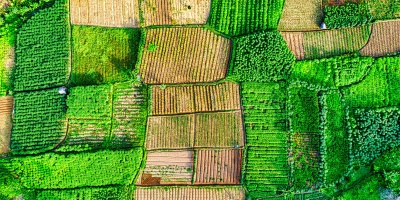 Birds eye photo of fields. Credit Tom Fisk via Pexels. 