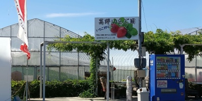 Urban farm in Japan. Credit: Ilidio De Fátimo da silva via Pexels