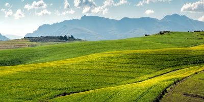 Rolling hills of fields. Credit: Pixabay