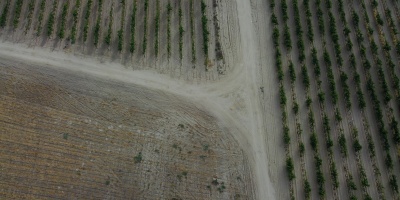 An aerial image of a farm in Baja California, Mexico. Photo by David Kovalenko via Unsplash.