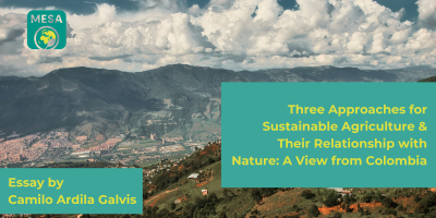 Landscape with the title Three approaches for sustainable agriculture and their relationship with nature: a view from Colombia