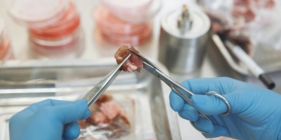 Picture of meat in a lab. Credit: Thirdman via Pexels