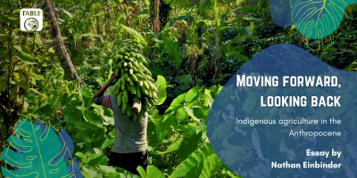 A flyer for the TABLE essay “Moving forward, looking back: Indigenous approaches in the Anthropocene” by Nathan Einbinder. The background is a photo of a farmer carrying a banana raceme on his back, photo provided by Nathan Einbinder.