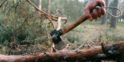 Axe in wood. Credit Ivan Samkov via Pexels 