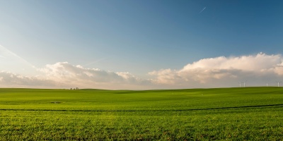 Photo of a field of grass. Credit: Jahoo Clouseau via Pexels. 