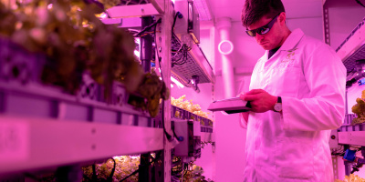 Photo of vertical farming. Credit: Thisisengineering via Pexels. 