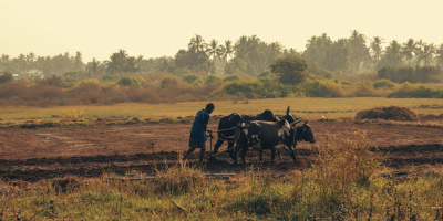 African farming. Credit Keith Lobo via PExels 