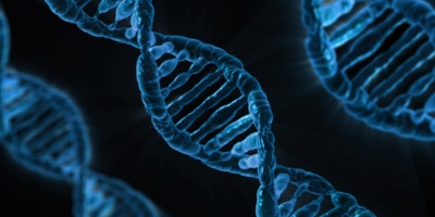 Image: Виталий Смолыгин, Structure of DNA, Public Domain Pictures, CC0 Public Domain