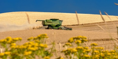 Image: Charles Knowles, Eastern Washington wheat harvest, Wikimedia Commons, Creative Commons Attribution 2.0 Generic