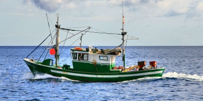 Image: Ian Sherlock, Fishing boat leaving, Canary Islands, Wikimedia Commons, Creative Commons Attribution-Share Alike 2.0 Generic