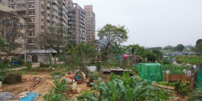 Photo: Shou-Hui Wang, The farm inside the city, Flickr, Creative Commons licence 2.0