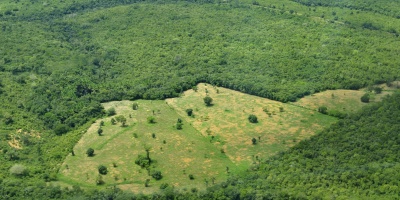 Amazon land use by CIAT via Flickr