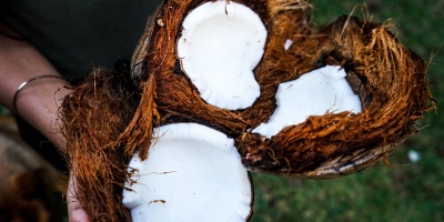 Image: Jonas Dücker, person holding coconut husks, Unsplash, Unsplash licence