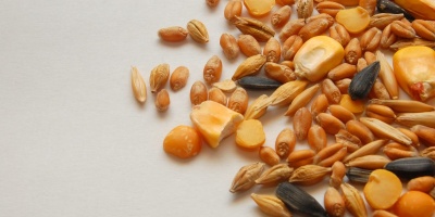 Image: cilfa, Pet feed, seeds, corn, Pxhere, CC0 Public Domain