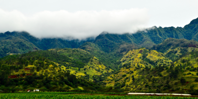 Photo: Jason Jacobs, “Fields of green”, Flickr, Creative commons licence 2.0