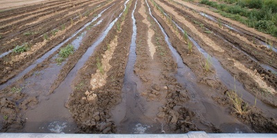 Image: USDA NRCS Montana, Irrigation31.tif, Flickr, Public domain