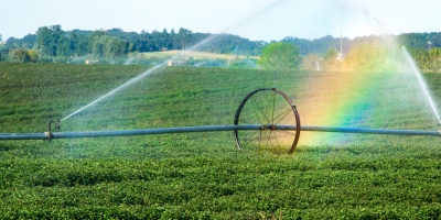 Image: Pxhere, Landscape water grass, Public Domain