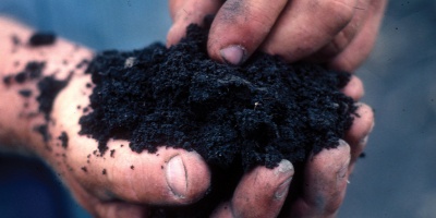 Image: NRCS Soil Health, Touch healthy soil, Flickr, Creative Commons Attribution 2.0 Generic