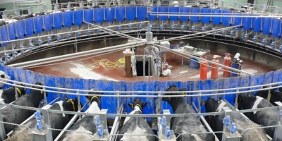 Image: Andy Farrington, Rotary Parlour at Broadwigg Farm, Geograph, Creative Commons Attribution-ShareAlike 2.0 Generic 