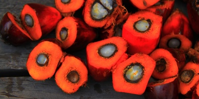 Image: Feelphotoz, Palm oil, Flickr, Creative Commons CC0