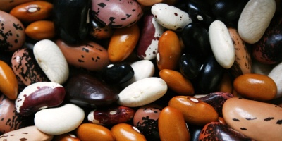 Image: Beans Proteins, Max Pixel, Creative Commons CC0