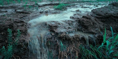 Image: Lynn Betts, Runoff of soil & fertilizer, Wikimedia Commons, Public domain