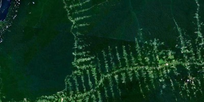 Image: NASA, Deforestation in Amazonia, seen from satellite, Wikimedia Commons, Public Domain