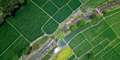 Image: Tom Fisk, Bird's Eye View of River in Middle of Green Fields, Pexels, Pexels Licence