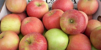 Image: Julie, Apples, Flickr, Creative Commons Attribution 2.0 Generic