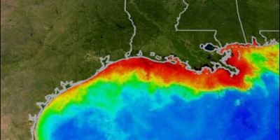Image: MOAA, Satellite image and illustration of a dead zone in the southern U.S., Wikimedia Commons, Public Domain