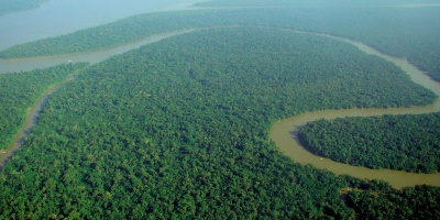 Image: lubasi, Aerial view of the Amazon Rainforest, Wikimedia Commons, Creative Commons Attribution-Share Alike 2.0 Generic