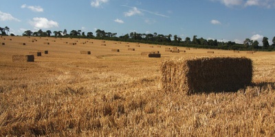 Image: Bob Jones, Harvested wheat field, Geograph, Creative Commons Attribution-ShareAlike 2.0 Generic