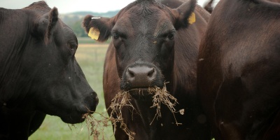 Photo: U.S. Department of Agriculture, 20130712-AMS-LSC-0415, Flickr, CC by 2.0