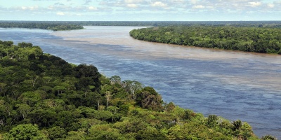 Image: Neil Palmer, Aerial view of the Amazon Rainforest, near Manaus, the capital of the Brazilian state of Amazonas, Wikimedia Commons, Creative Commons Attribution-Share Alike 2.0 Generic