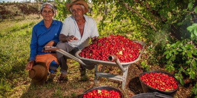 Image: World Resources Institute, Two farmers in Brazil with their acerola berry harvest, Wikimedia Commons, Creative Commons Attribution-Share Alike 4.0 International