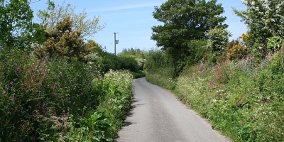 Image: Tony Atkin, Colourful Hedgerows, Geograph, Creative Commons Attribution-ShareAlike 2.0 Generic 