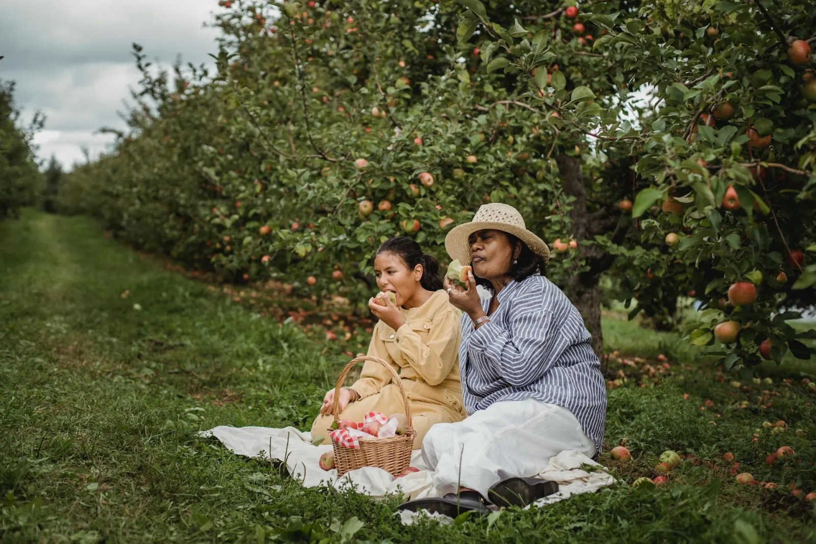 People eating a picnic. Credit: Zen Chung via Pexels