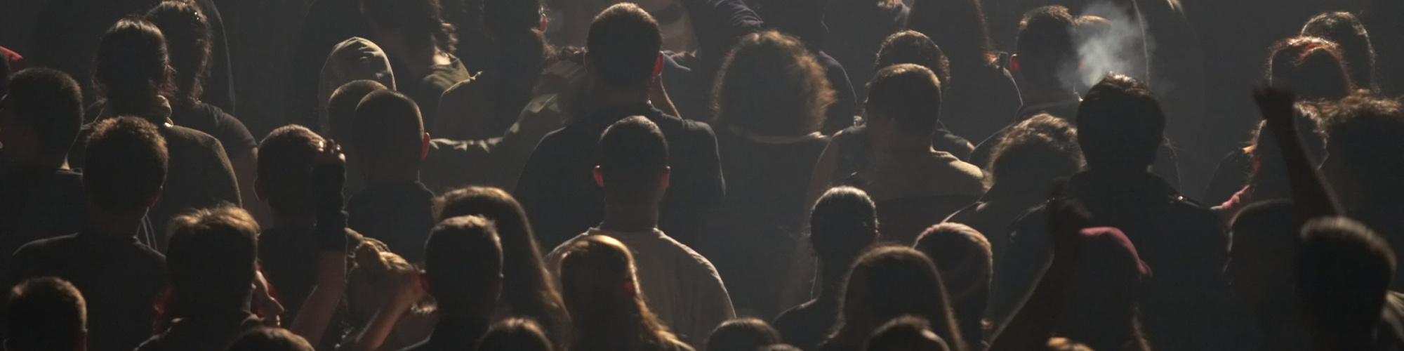A crowd of people backlit at a concert or protest