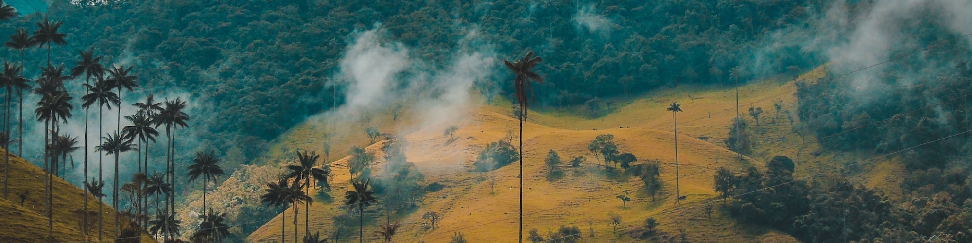 Photo of a patchy grass and forest-covered hillside in Cocora Valley, Colombia by Fernanda Fierro.