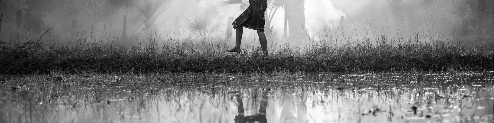 The cover image of the food sovereignty explainer in black and white, a woman carrying rice across a rice paddy.