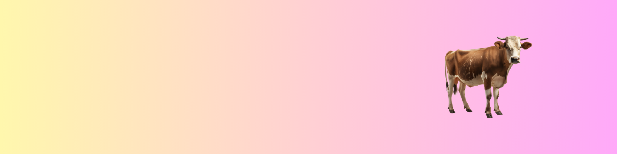 A gradient background of yellow and pink with a brown cow on the right side.