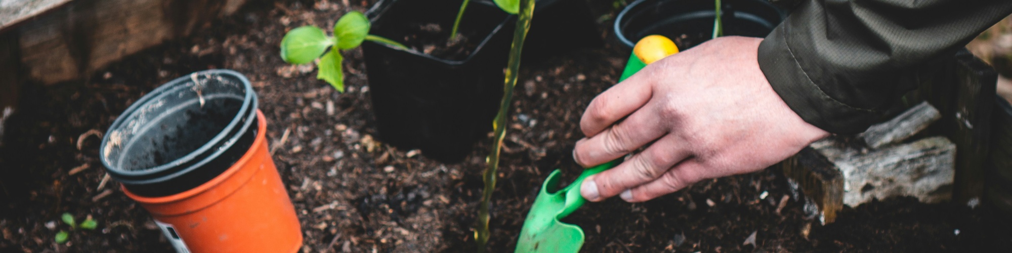 Water seedlings in a raised garden bed. Photo by Jonathan Kemper via Unsplash.