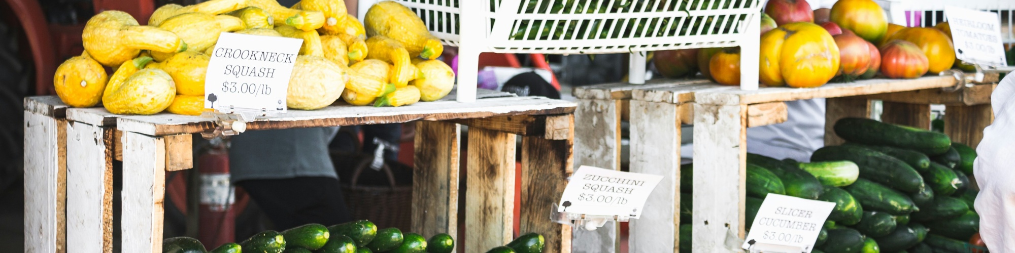 Vegetables arranged in wooden crates on a checkered table cloth. Photo by Quin Engle via Unsplash.