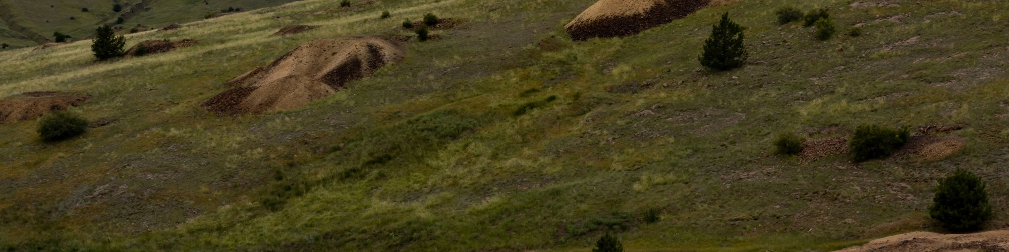 Grasslands on rolling hills. Photo by Luis Olmos via Unsplash.