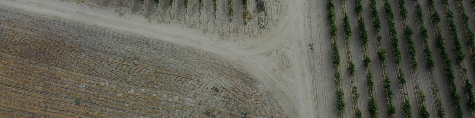 An aerial image of a farm in Baja California, Mexico. Photo by David Kovalenko via Unsplash.