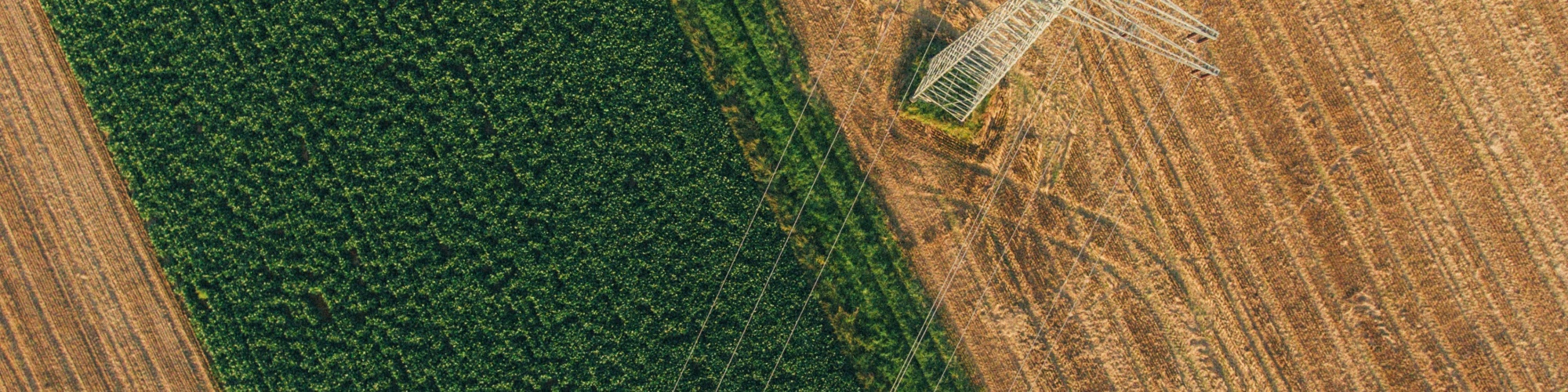 birds eye view of field and pylon, Max Bottinger via Unsplash