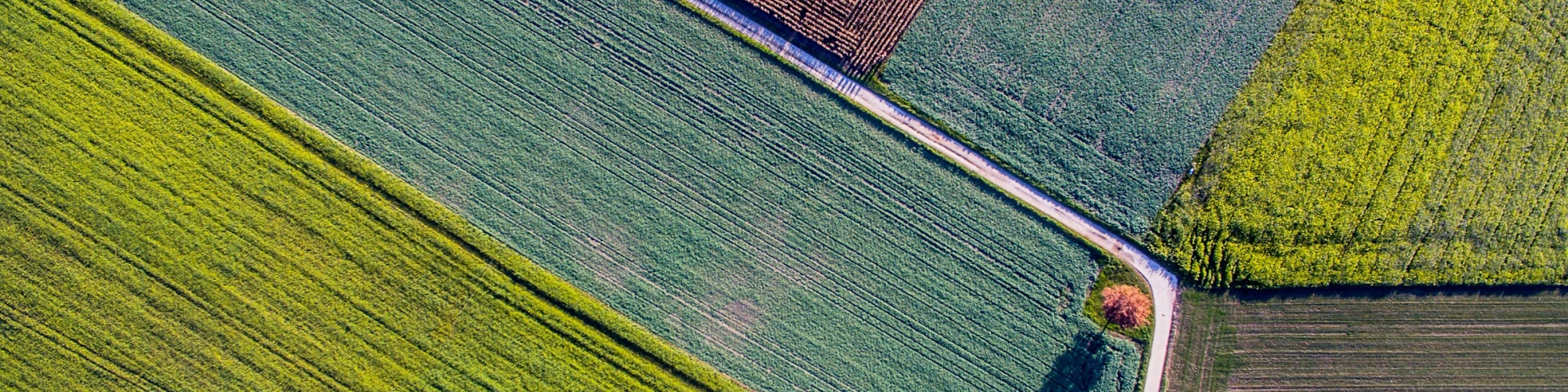 An aerial photo of multicoloured agricultural fields. Image by Jean Wimmerlin via Unsplash.