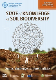 Cover: State of knowledge on soil biodiversity