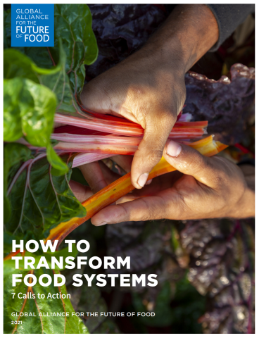 How to transform food systems: 7 Calls to Action